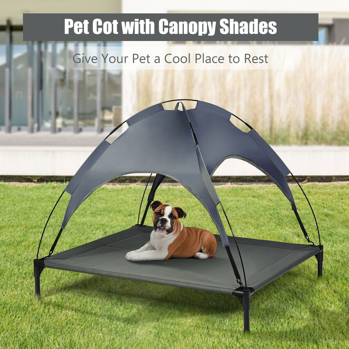 Portable Elevated Outdoor Pet Bed, Removable Canopy Shade, 42 Inch, Dark Gray Dog Supplies at Gallery Canada