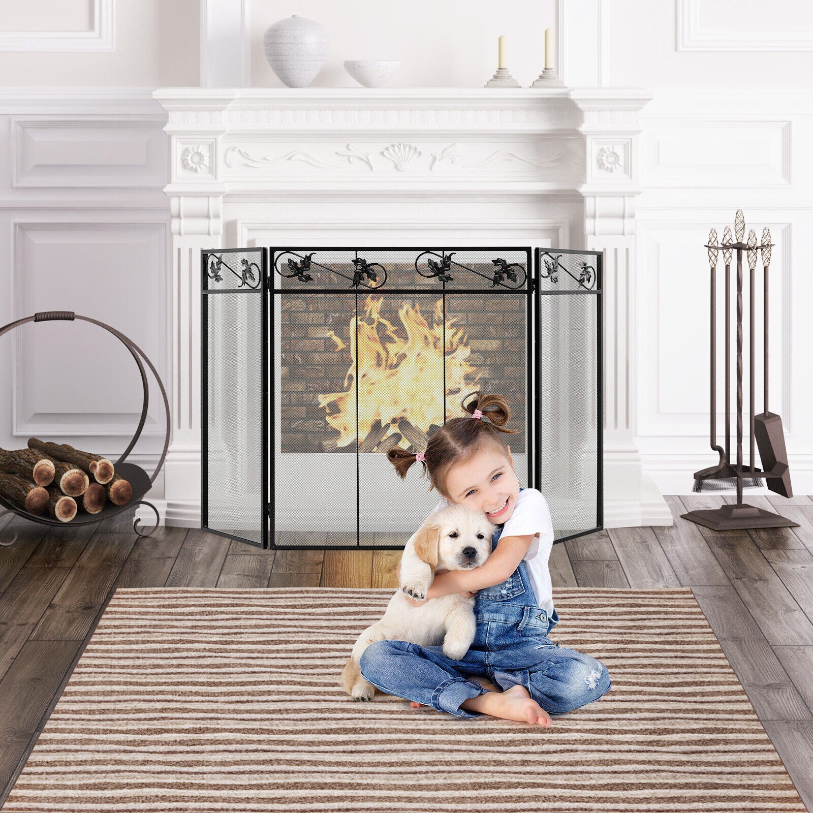 3-Panel Fireplace Screen Cover, Black Fireplace Tools at Gallery Canada