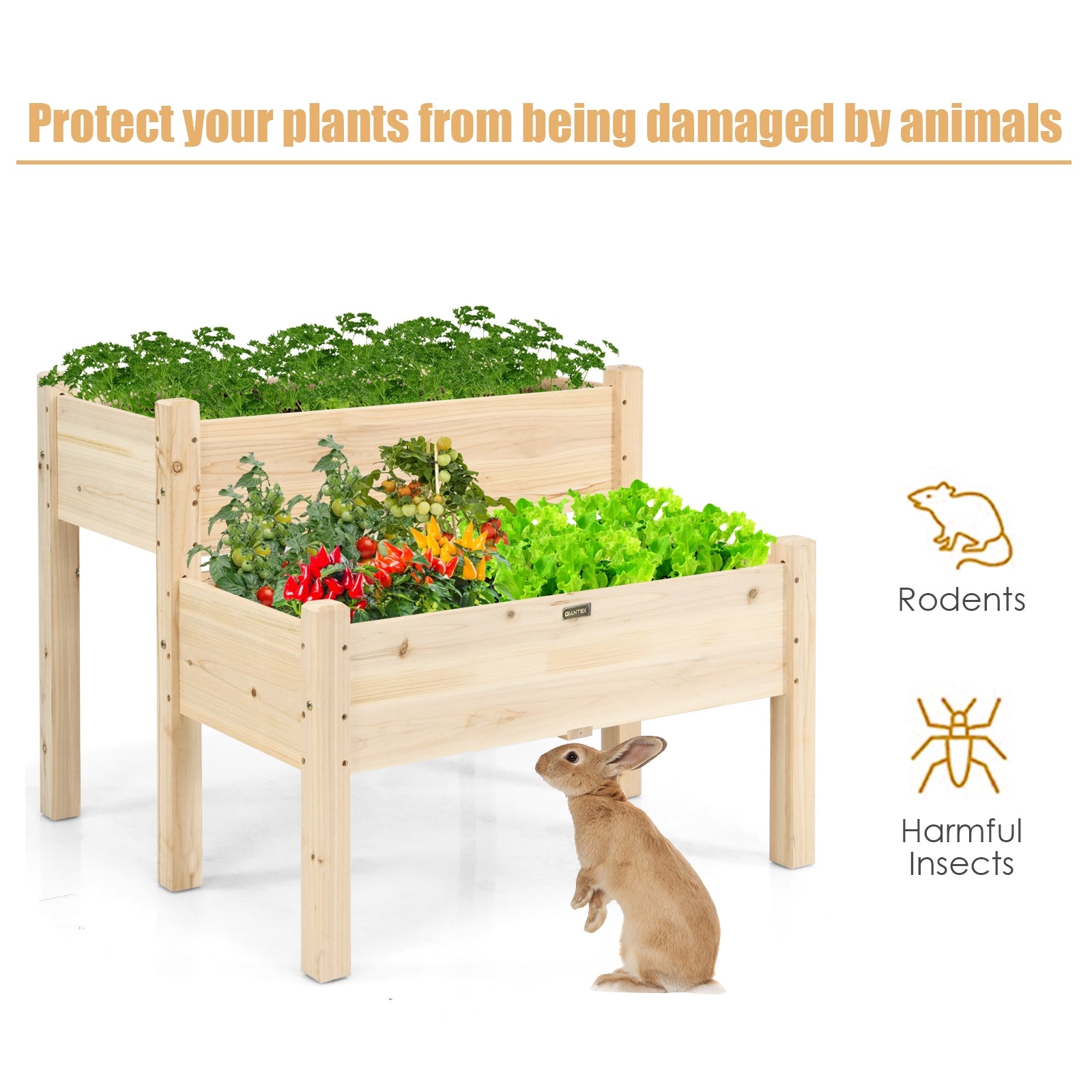 2 Tier Wooden Elevated Planter Box, Natural Raised Garden Beds at Gallery Canada