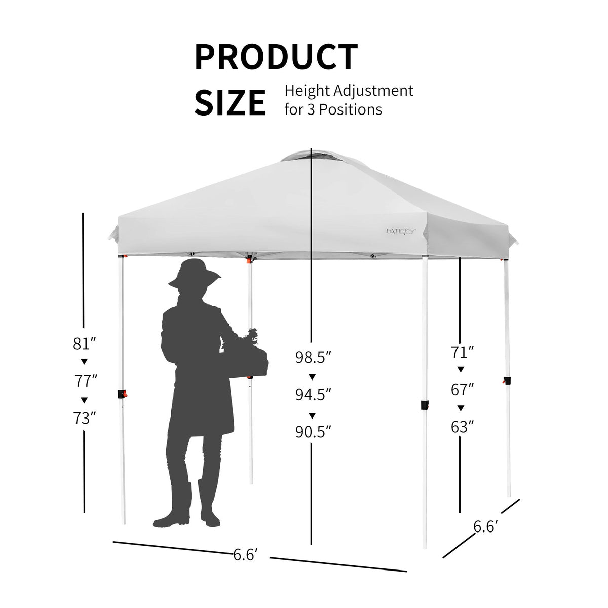 6.6 x 6.6 Feet Pop-Up Canopy Tent, With Roller Bag, Gray Canopies at Gallery Canada