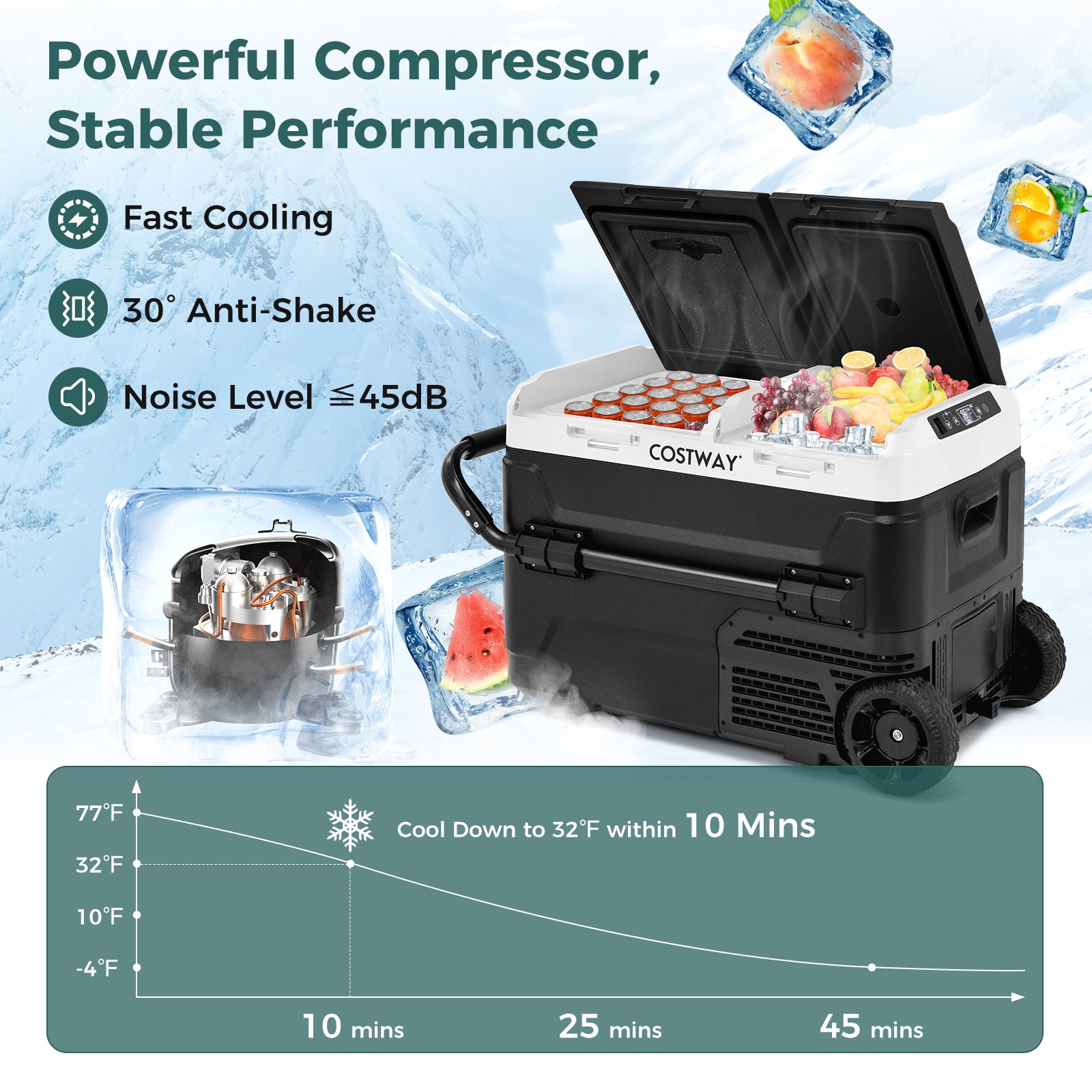 Dual Zone 12V 42QT Car Refrigerator, Black Coolers at Gallery Canada