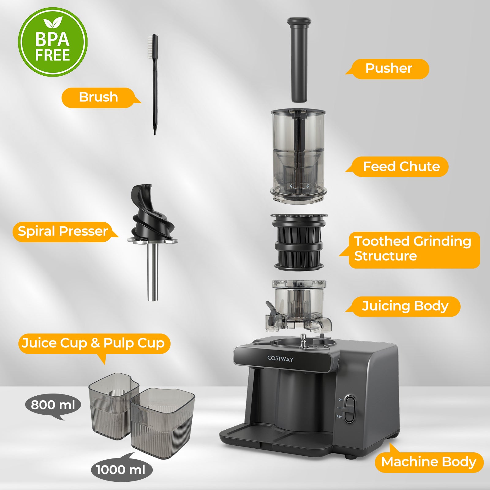 Cold Press Juicer, 5.3 Inches Feed Chute, High Juice Yield, Reverse Function Kitchen Utensils at Gallery Canada