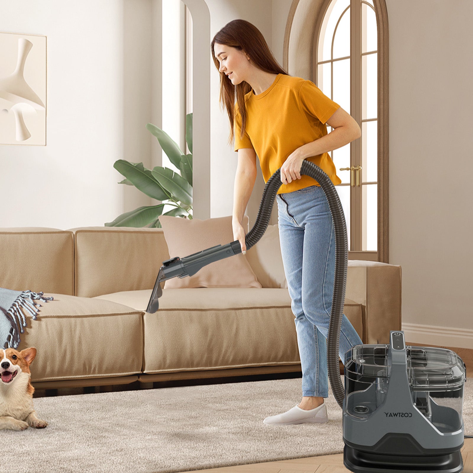 600W Upholstery Cleaner, 15Kpa Suction, Gray Vacuums & Cleaners at Gallery Canada
