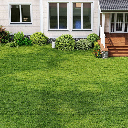 Synthetic Turf Mat, XL, Indoor Outdoor, Drainage Holes, Green