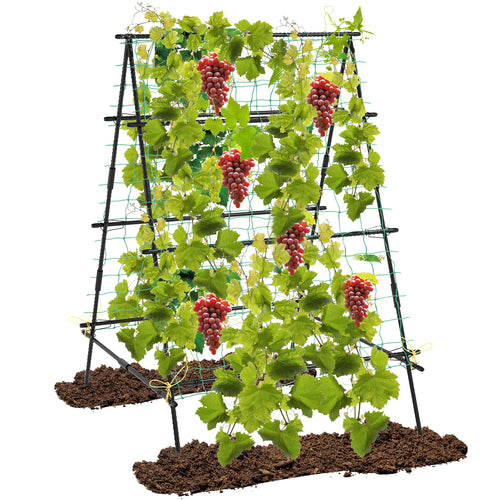 A-Frame Garden Cucumber Trellis With Netting, Black