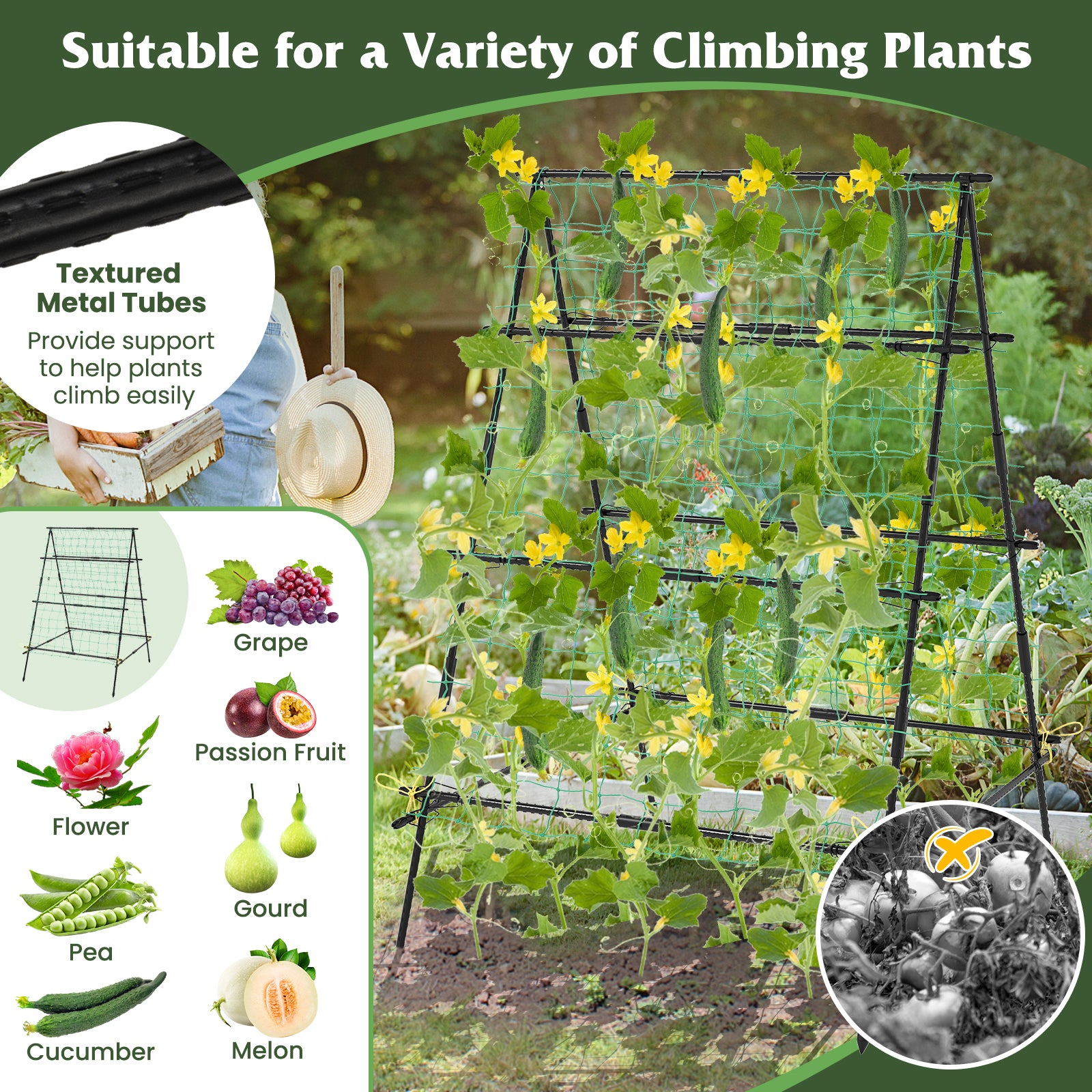 A-Frame Garden Cucumber Trellis With Netting, Black Raised Garden Beds at Gallery Canada