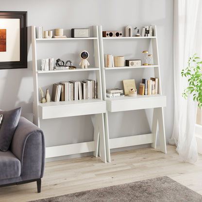 Ladder Shelf Desk With Countertop Drawer, Anti-Toppling Device, Oak Bookcases at Gallery Canada