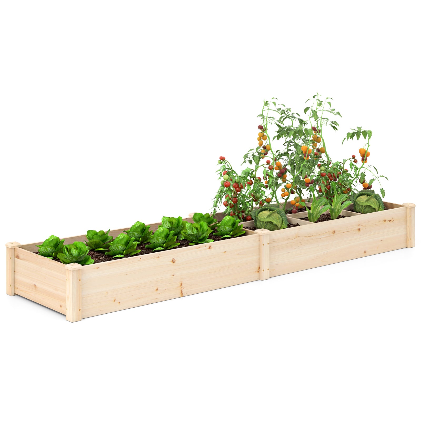 Wooden Raised Garden Bed, Open-Ended Base, 2 Planter Boxes Divider, Natural Raised Garden Beds at Gallery Canada