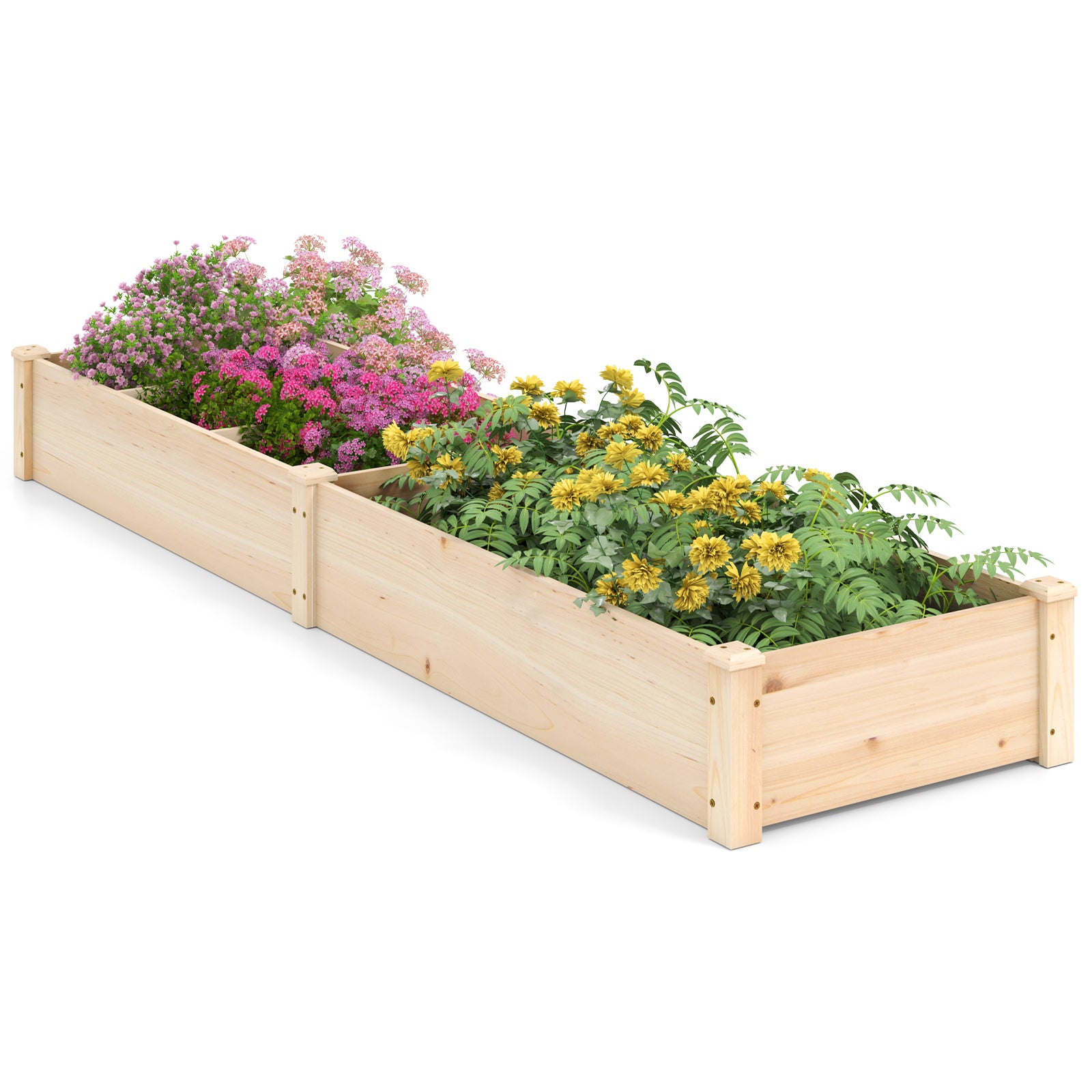 Wooden Raised Garden Bed, Open-Ended Base, 2 Planter Boxes Divider, Natural Raised Garden Beds at Gallery Canada