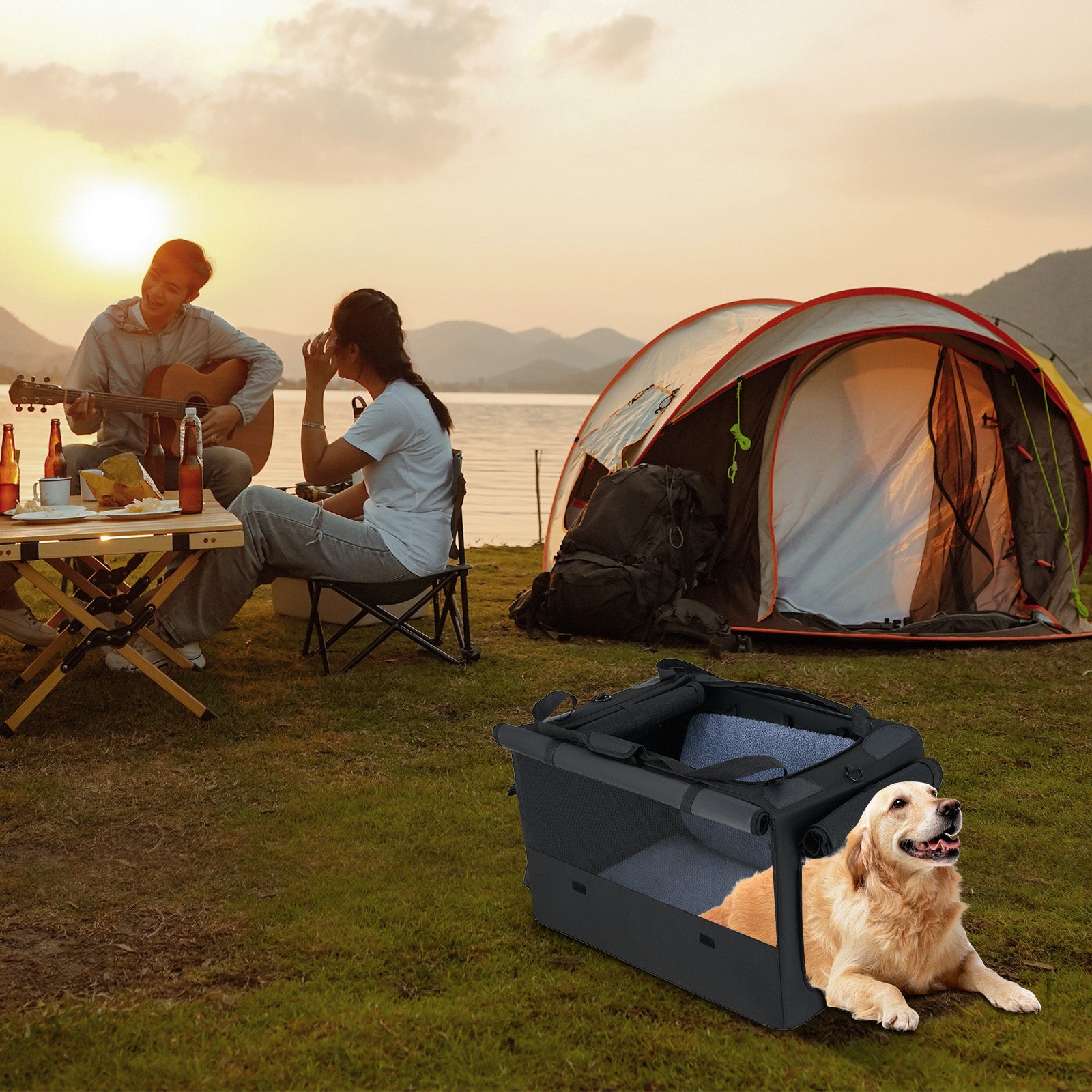 Portable Foldable Pet Carrier Bag, 2 Openings, Comfy Cushion, M, Black Dog Supplies at Gallery Canada