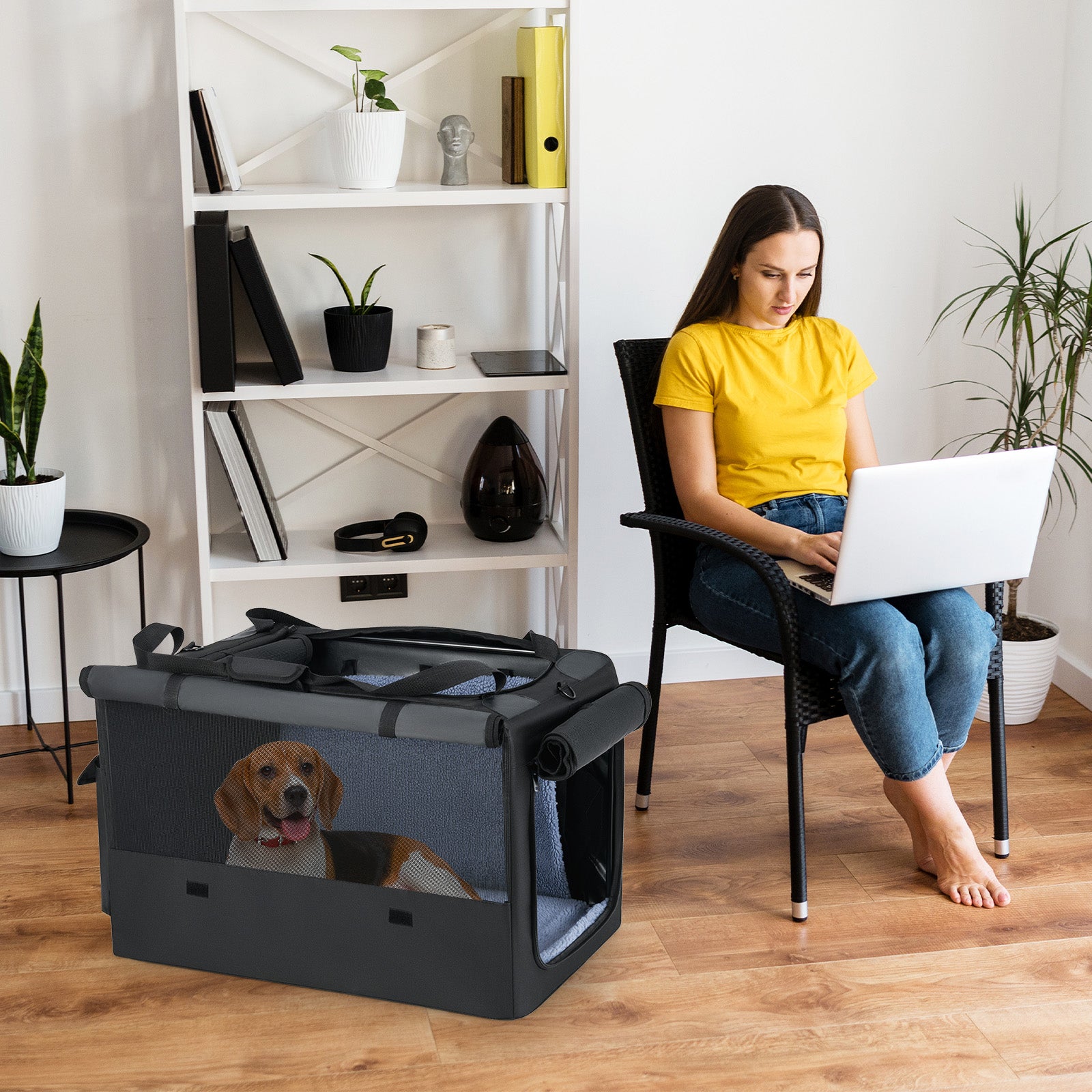 Portable Foldable Pet Carrier Bag, 2 Openings, Comfy Cushion, M, Black Dog Supplies at Gallery Canada