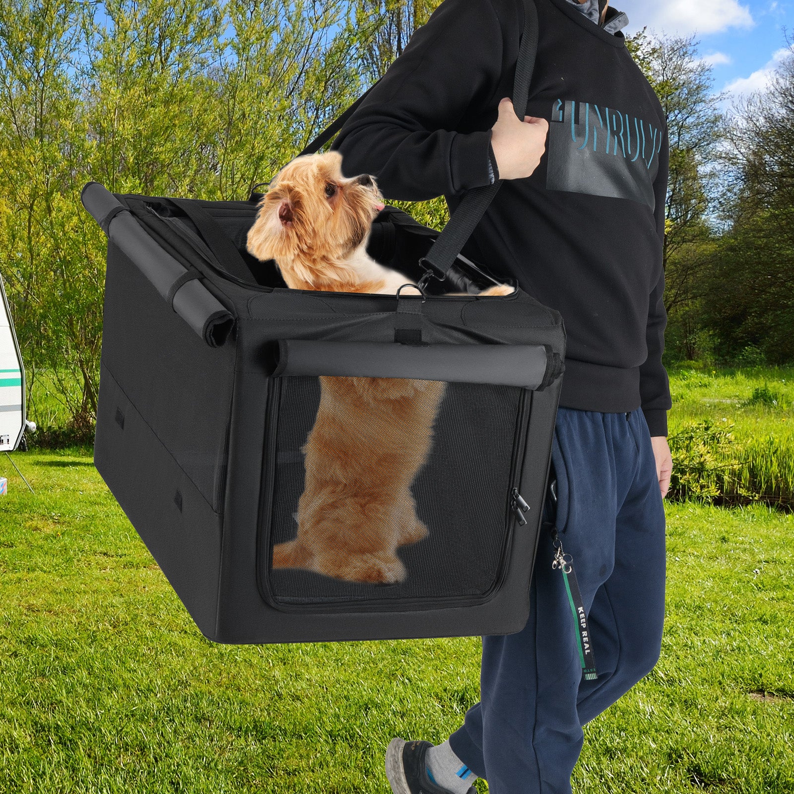 Portable Foldable Pet Carrier Bag, 2 Openings, Comfy Cushion, M, Black Dog Supplies at Gallery Canada