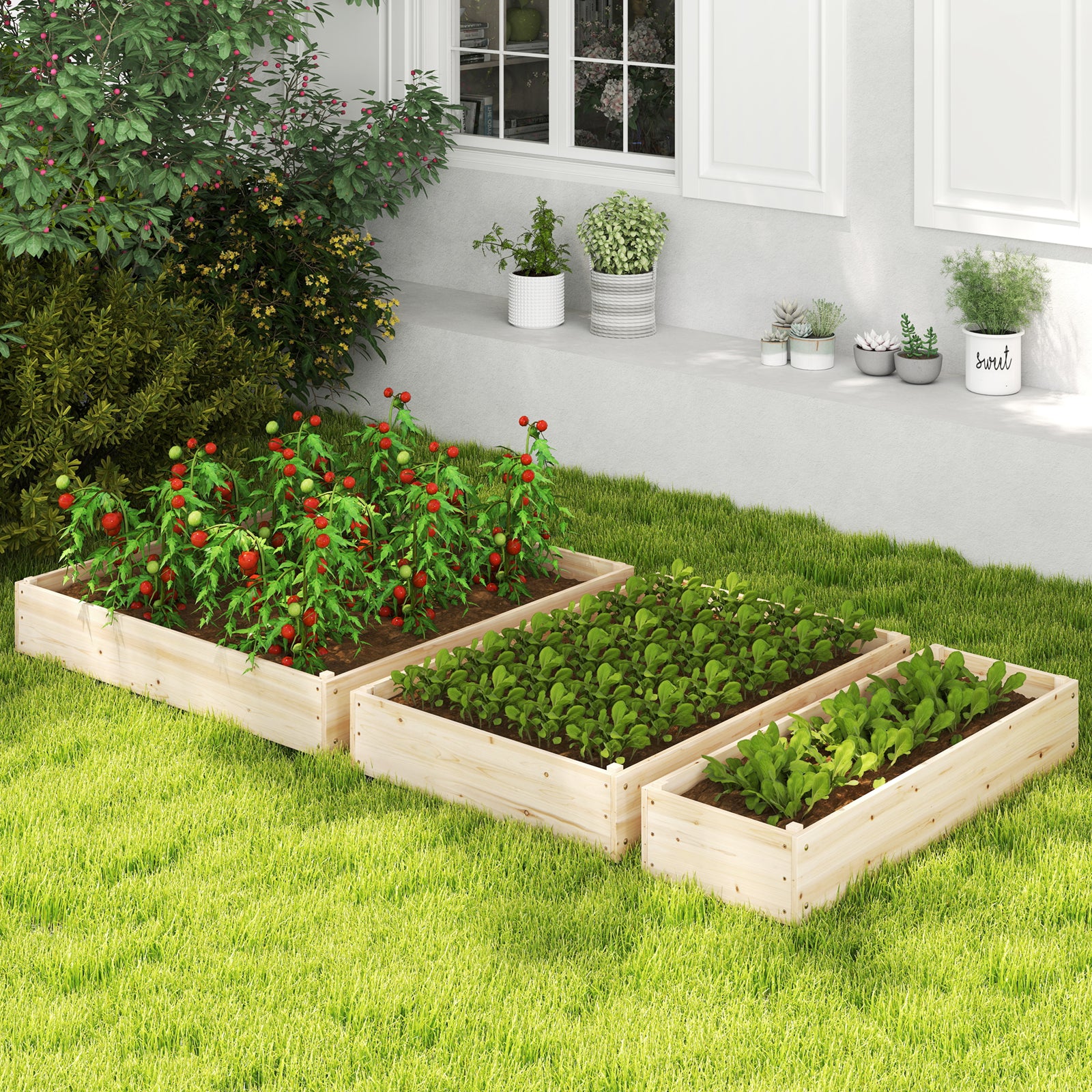 3-Tier Raised Garden Bed, Lattice Trellis, Open-Ended Base, Natural Raised Garden Beds at Gallery Canada
