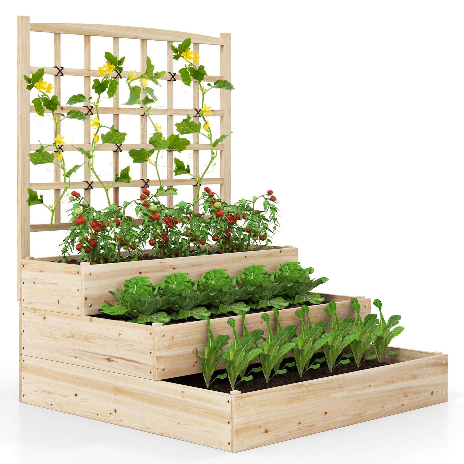 3-Tier Raised Garden Bed, Lattice Trellis, Open-Ended Base, Natural Raised Garden Beds Natural at Gallery Canada