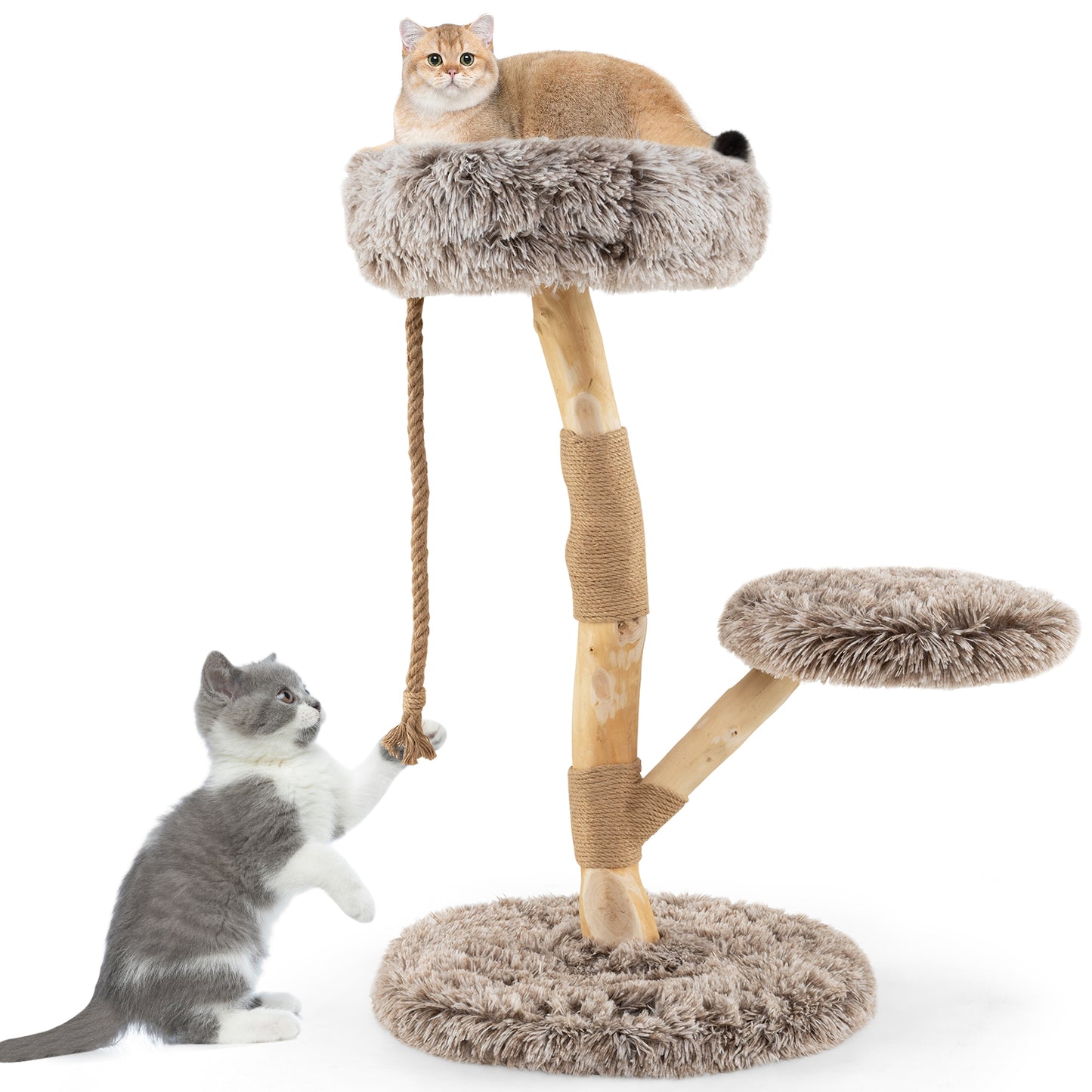Modern Wooden Cat Tree Tower, Perch, Natural Jute Scratching Posts, Brown Cat Trees Condos & Scratchers Brown at Gallery Canada