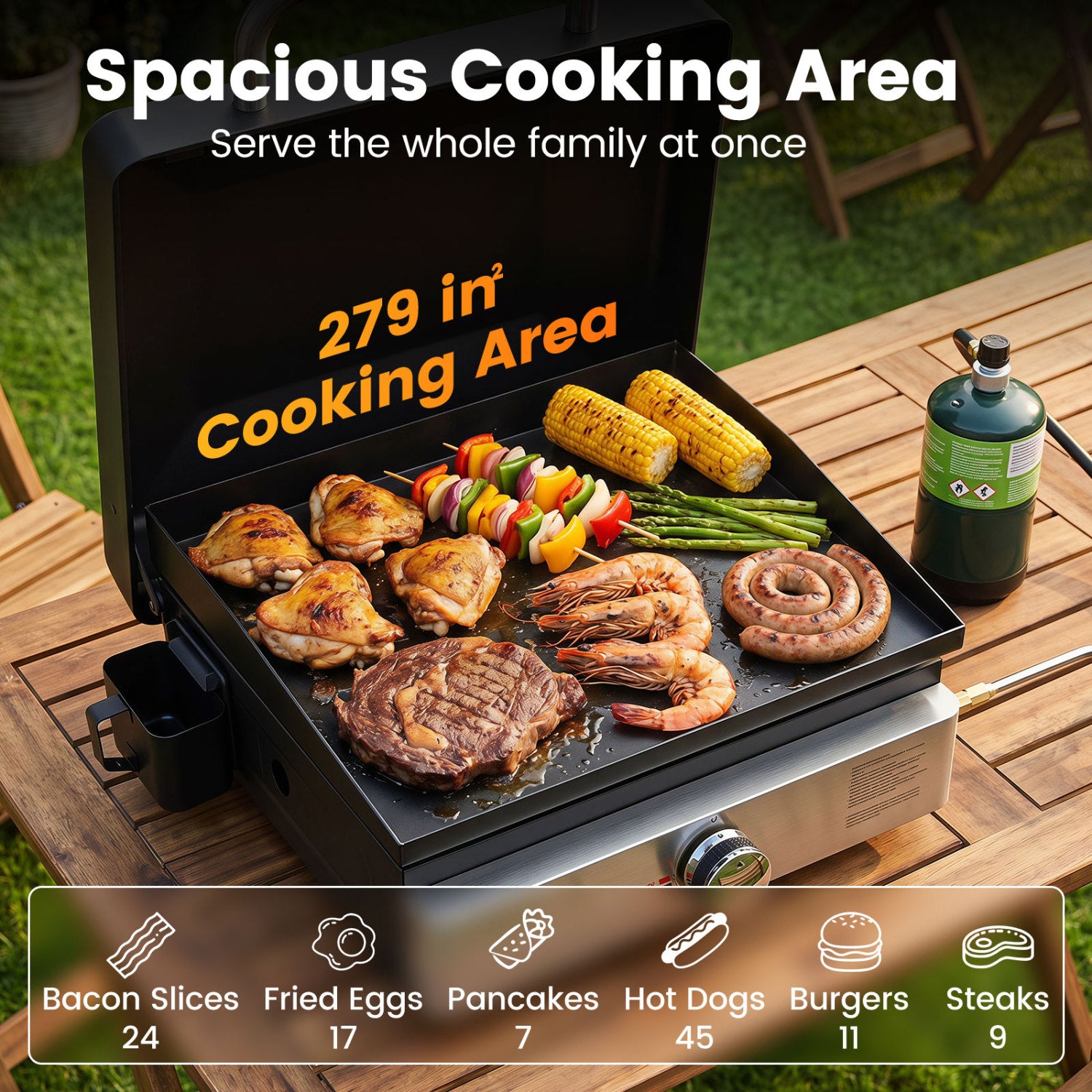 1-Burner Portable Gas Griddle, Non-Stick Ceramic, Black Outdoor Grills at Gallery Canada