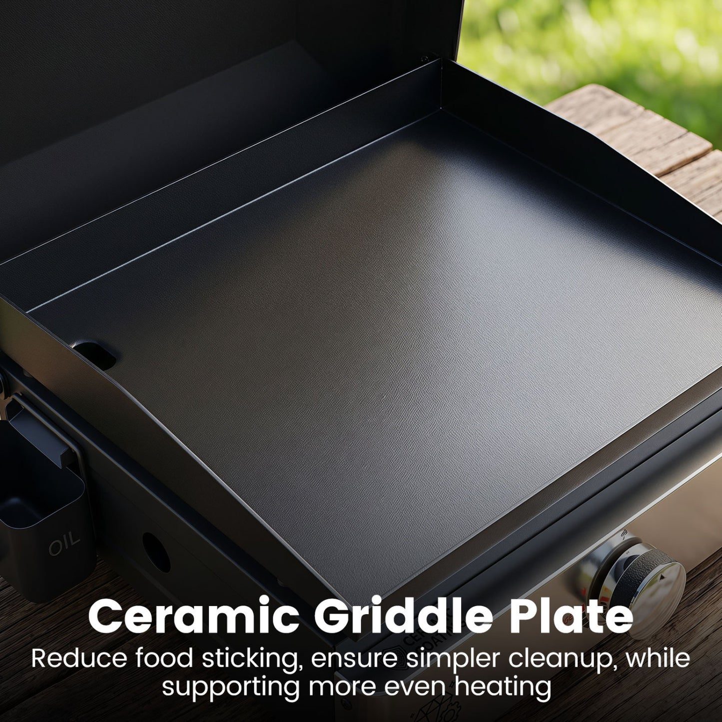 1-Burner Portable Gas Griddle, Non-Stick Ceramic, Black Outdoor Grills at Gallery Canada