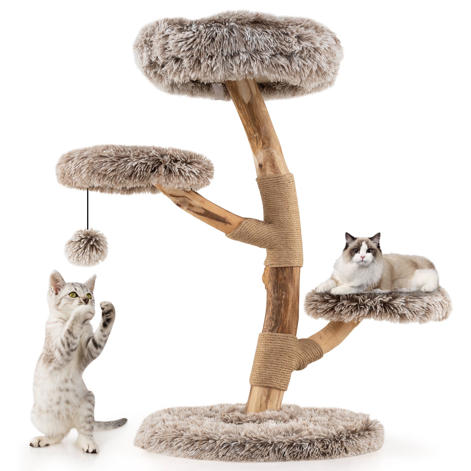 Cat Tree, Solid Pear Wood, Perch, Natural Jute Scratching Posts, Brown Cat Trees Condos & Scratchers at Gallery Canada
