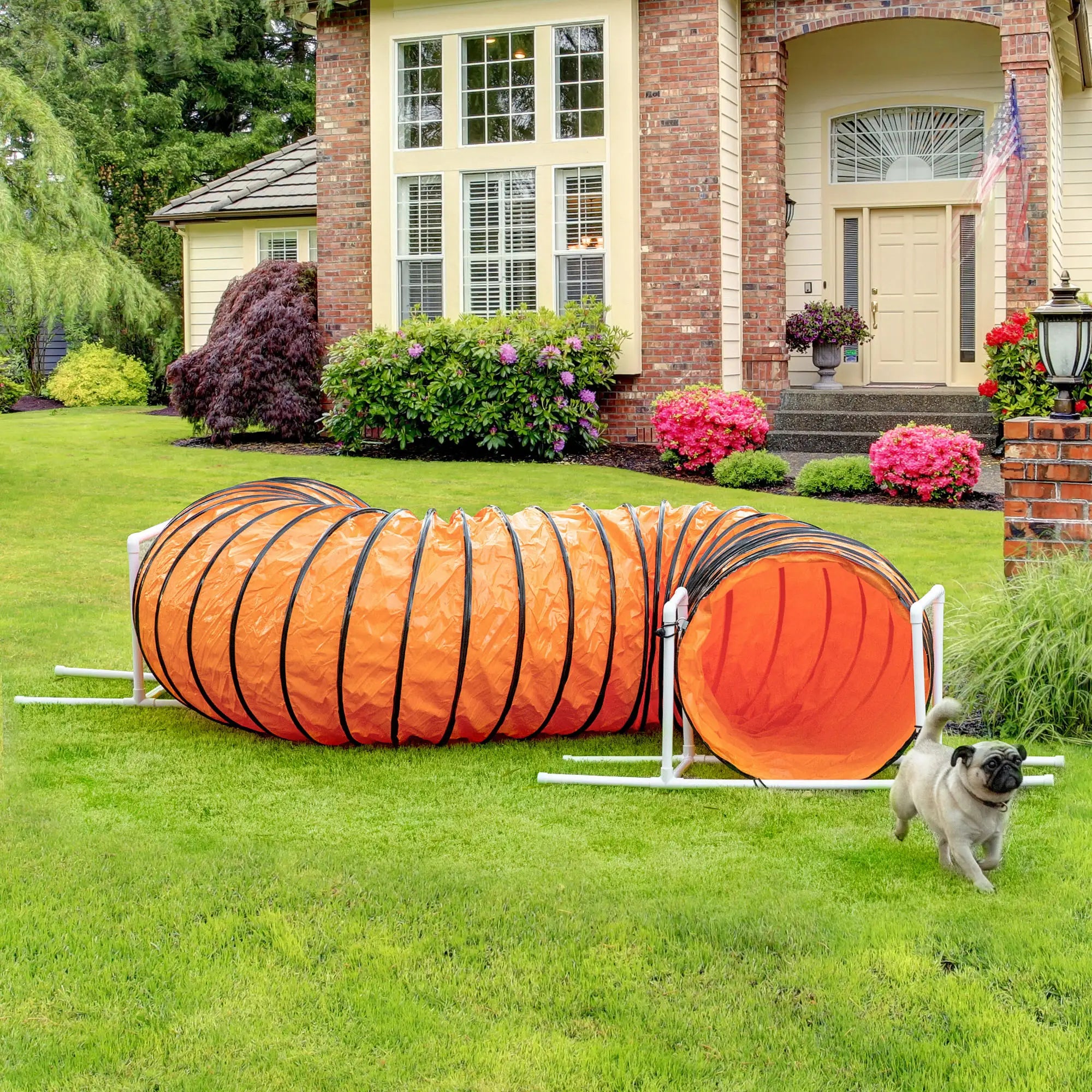 Dog Tunnel, 13 Foot Long, 24