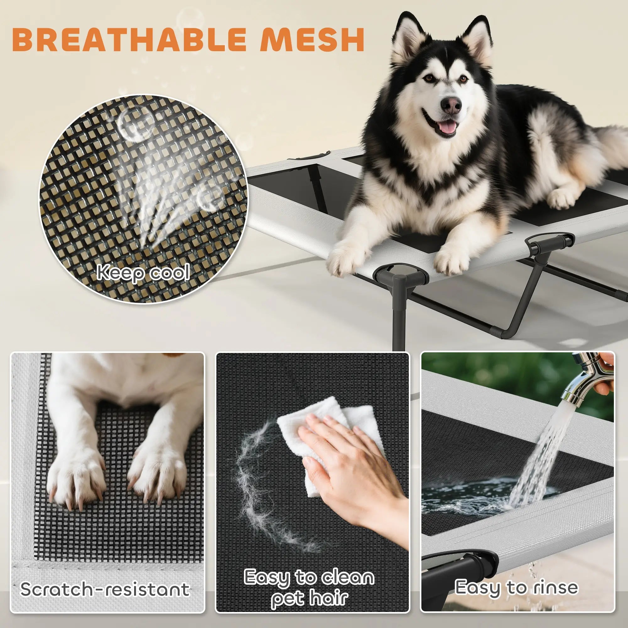 Elevated Dog Bed With Removable Canopy, Portable Pet Cot, 48