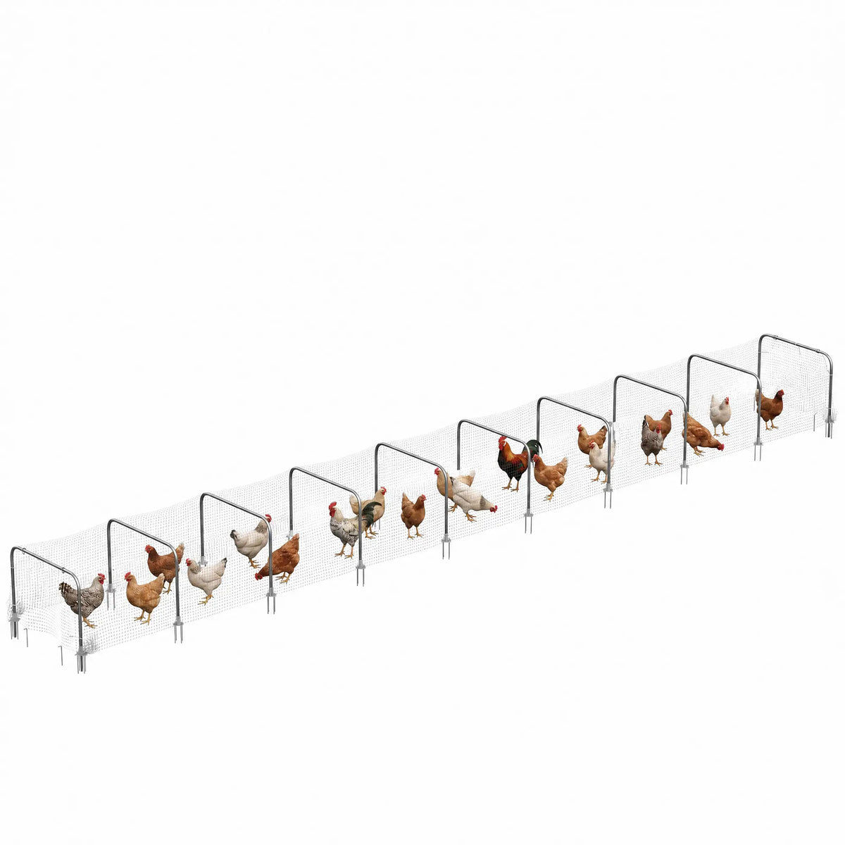 Extra Long Chicken Tunnel for Outside, 354" x 39" Galvanized Steel Chicken Run for 10-15 Chickens or Ducks Chicken Coops at Gallery Canada