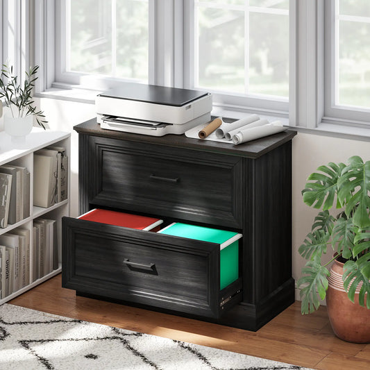 Lateral Filing Cabinet, 2 Silent Drawers, Letter A4 Legal Size, Black Office Cabinets & Cupboards Black, Brown at Gallery Canada