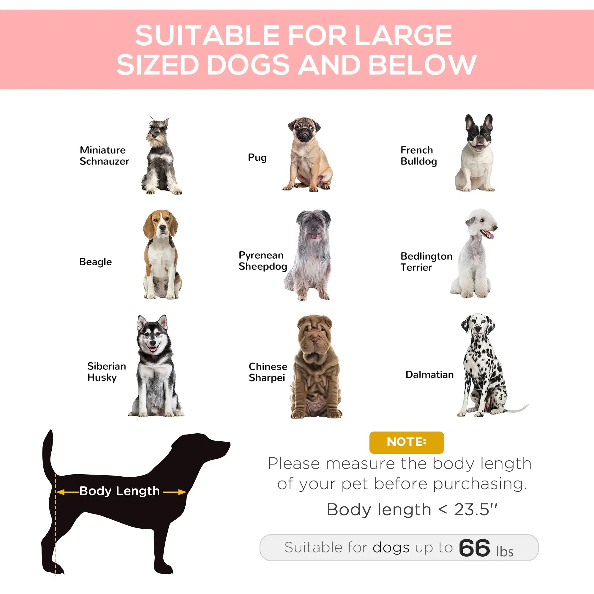 Elevated Dog Bed, Raised Cot for XL Dogs, 36