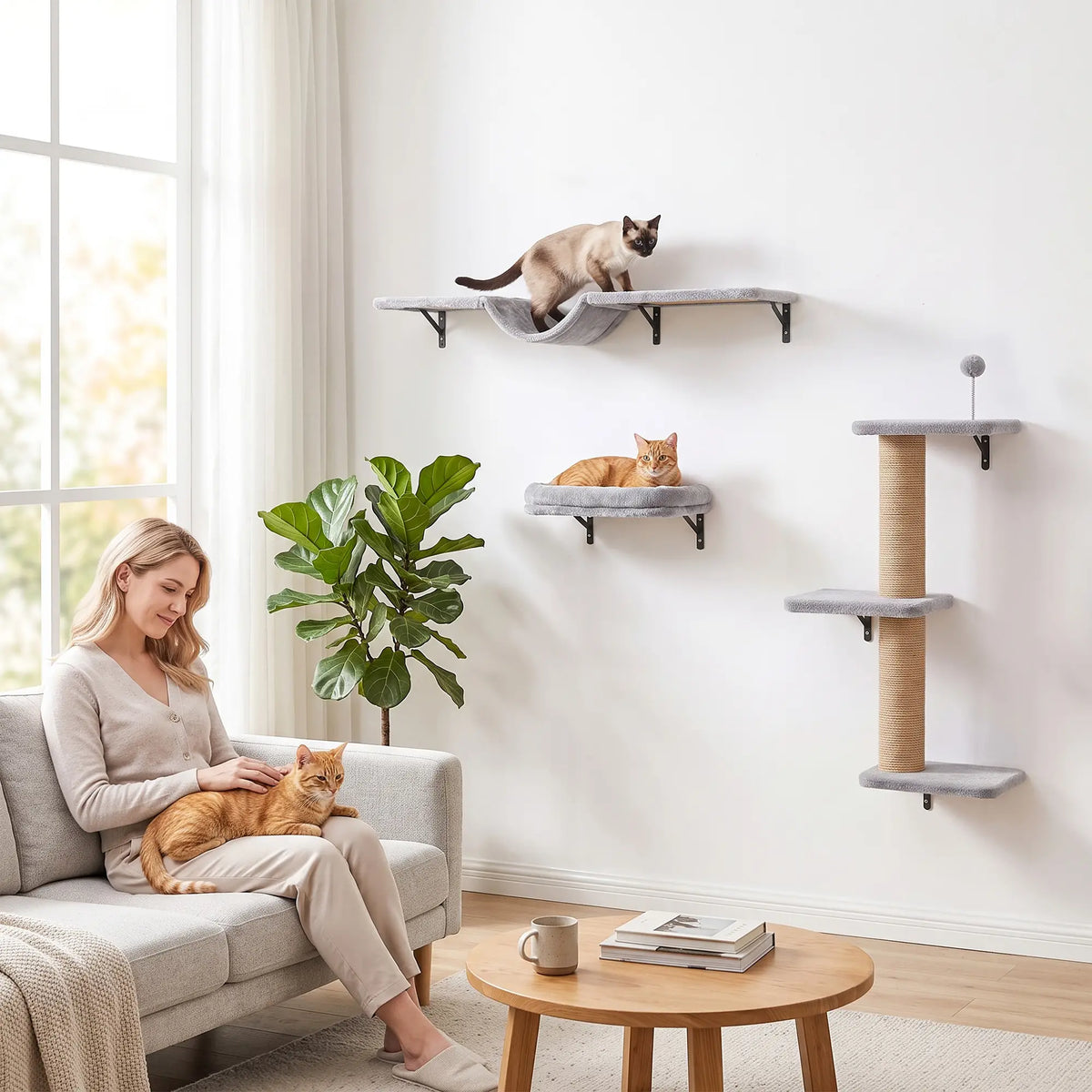 3-in-1 Cat Wall Shelves, Bed, Hammock, Posts, Spring Ball Cat Climbing Wall at Gallery Canada