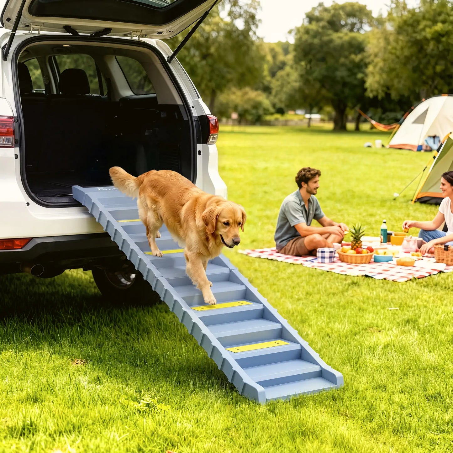 Foldable Dog Ramp With Anti-Slip Steps, Grey Dog Stairs at Gallery Canada