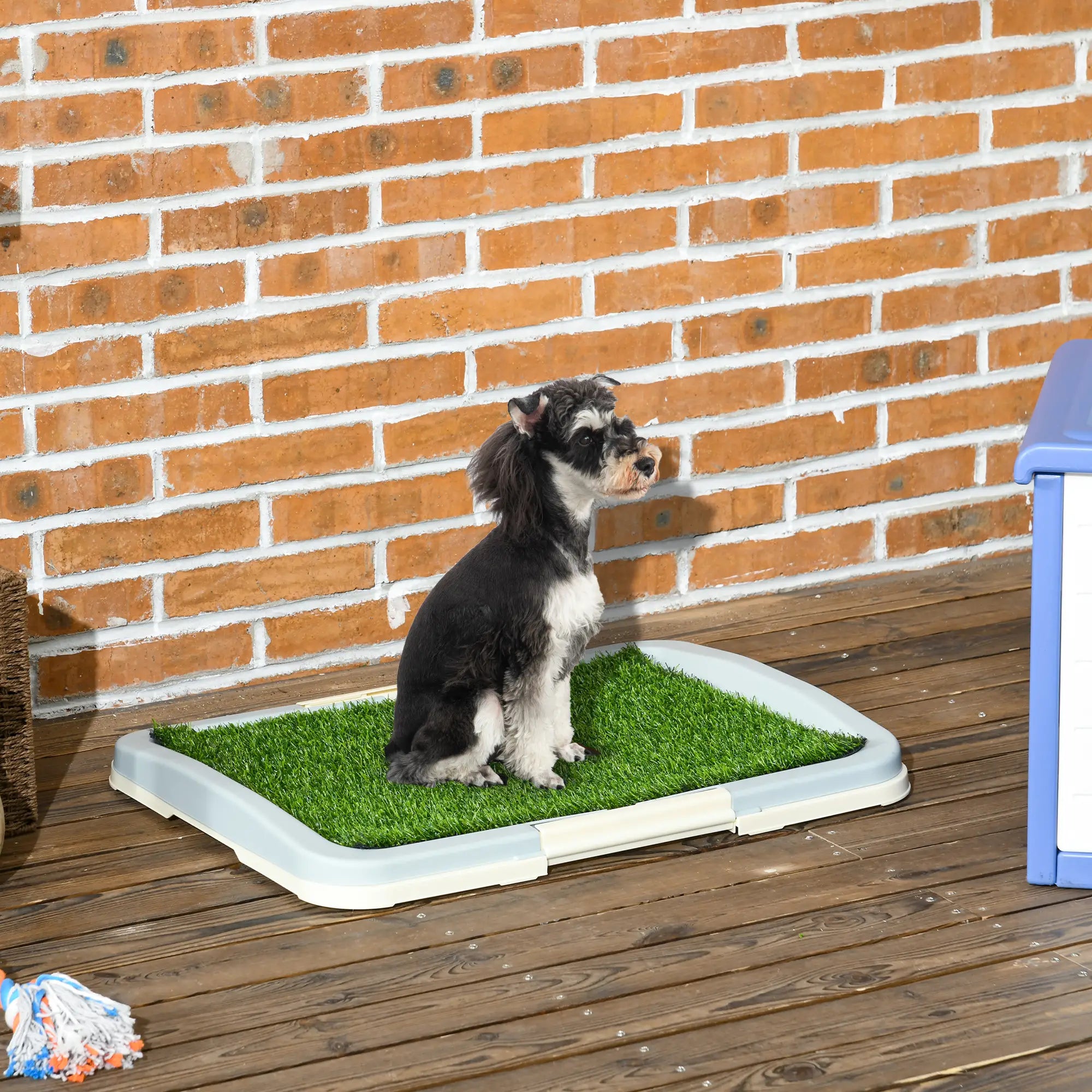 Puppy Training Pad, Indoor Portable, With Tray, 24.8