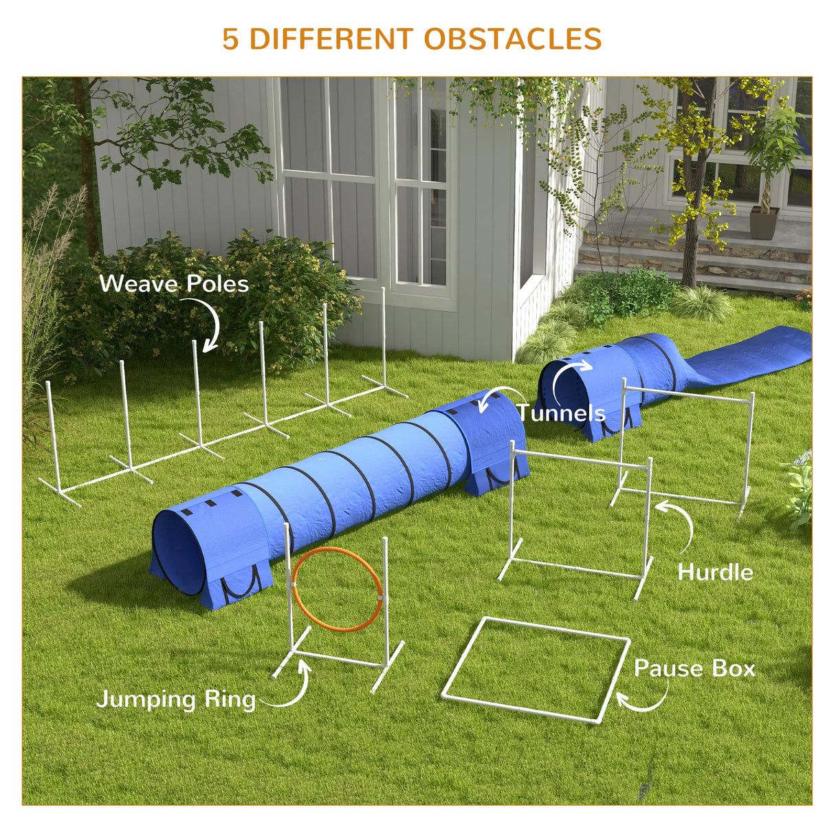 7 Pcs Dog Agility Kit, Tunnels, Weave Poles, Adjustable Hurdles, Blue Dog Agility Training Equipment at Gallery Canada