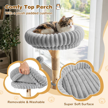 Modern Cat Tower, 41 Inch with Scratching Posts, Gray