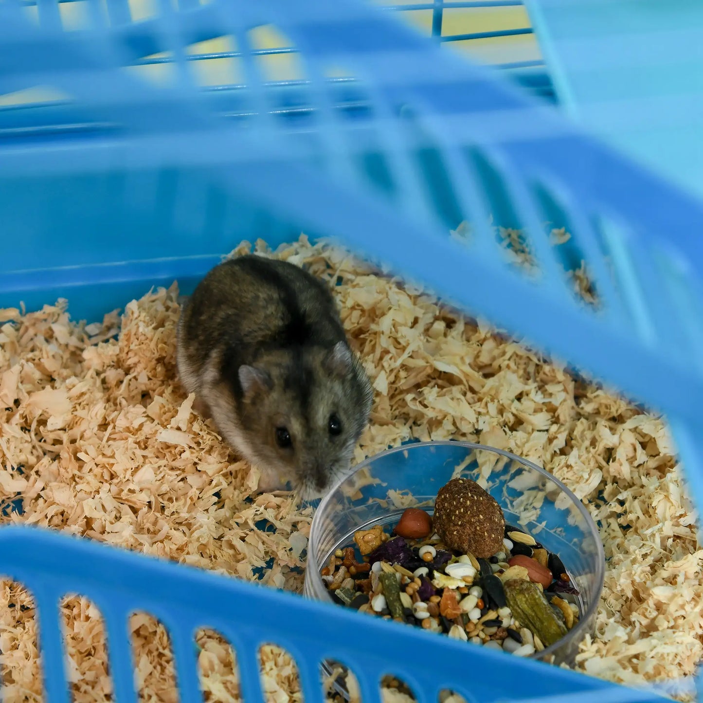 18.5" Hamster Cage, 5 Tiers, Tunnel Tube System, Exercise Wheel, Water Bottle, Blue Hamster Cages at Gallery Canada