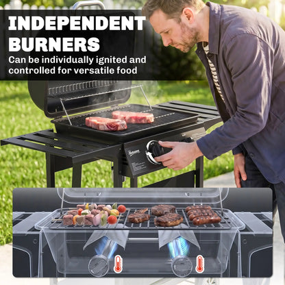 2-Burner Propane Gas Grill, 18000 BTU, Black Propane Gas Grills at Gallery Canada