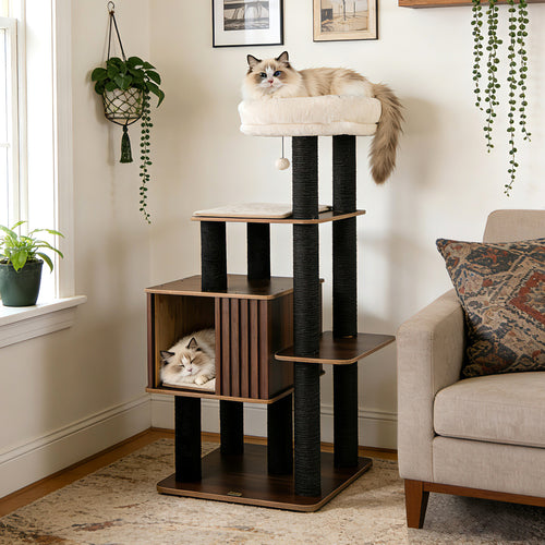 53.5 inch Tall Cat Tree for Indoor Cat Wooden Cat Tower Top Perch with Soft Padding, Brown