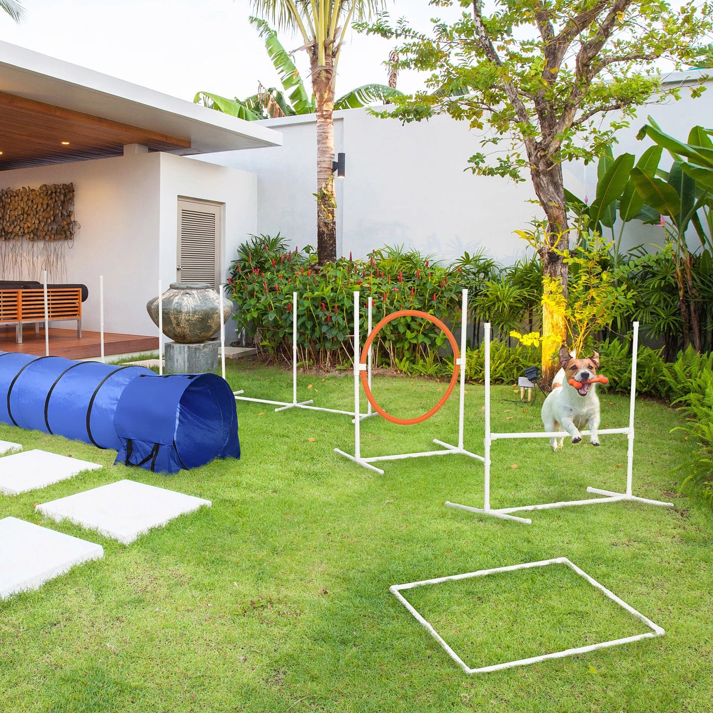 5Pcs Dog Agility Training Set, 8.7KG, Tunnels, Jump Ring, Weave Poles Dog Agility Training Equipment at Gallery Canada