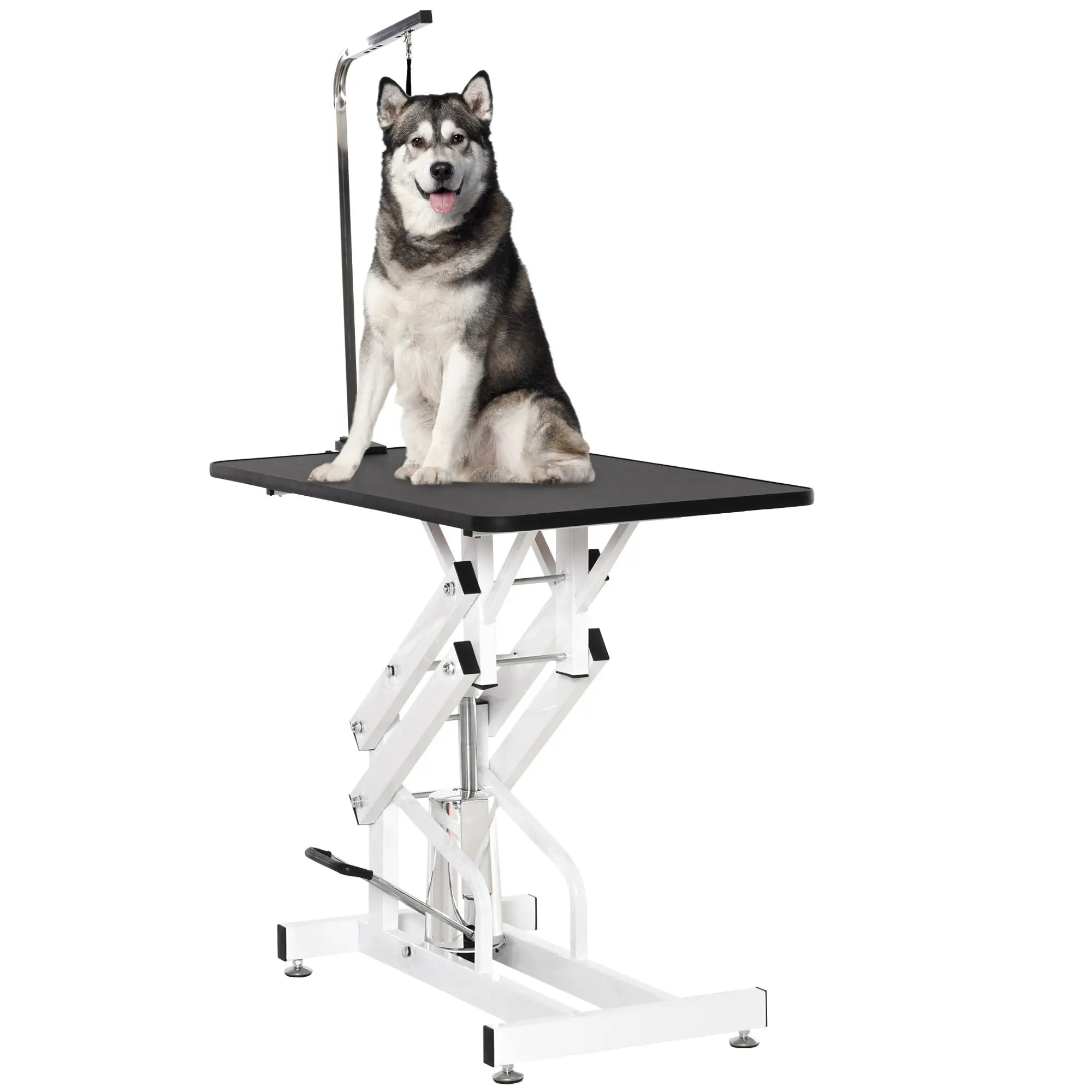 Adjustable Dog Grooming Table with Arm, Noose, Non-Slip, Black Dog Grooming Tables Black, White at Gallery Canada