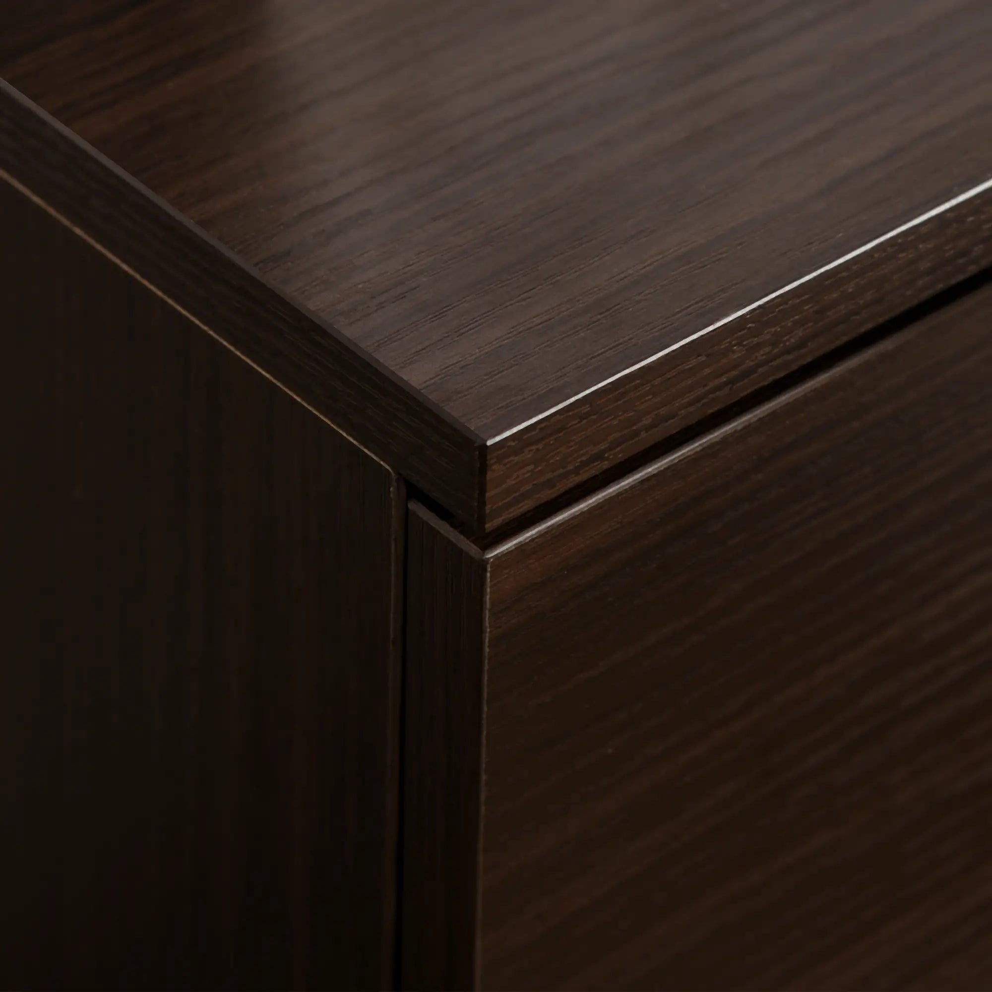 Mobile Vertical File Cabinet, 2 Drawers, Wheels, Letter or A4, Brown Office Cabinets & Cupboards at Gallery Canada