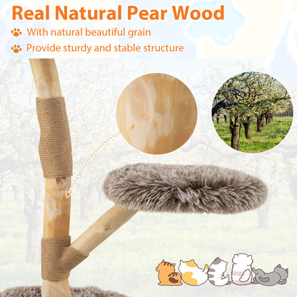 Modern Wooden Cat Tree Tower, Perch, Natural Jute Scratching Posts, Brown Cat Trees Condos & Scratchers at Gallery Canada