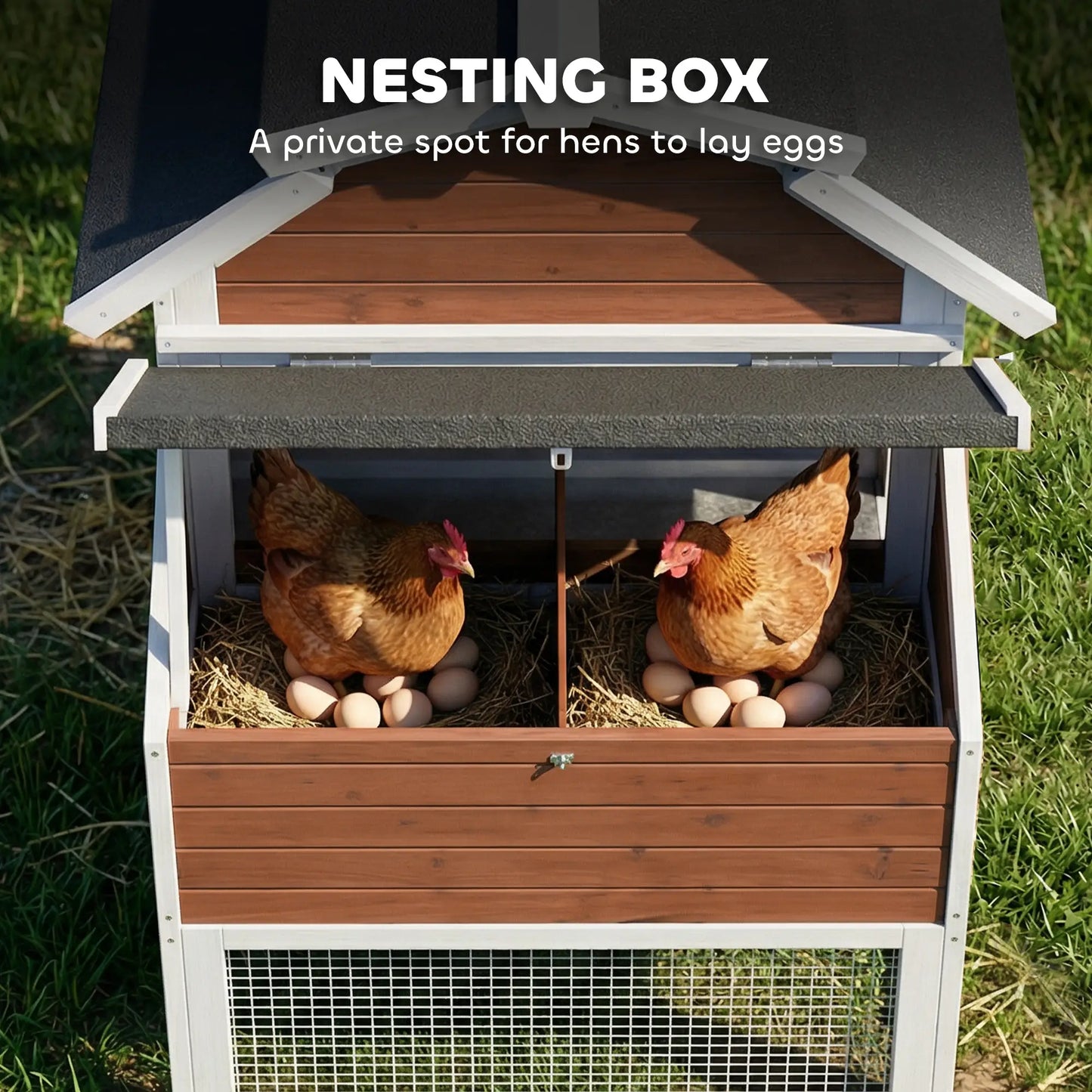 71" Chicken Coop For 3 Chickens, Wooden Hen House With Run, Removable Tray Chicken Coops at Gallery Canada