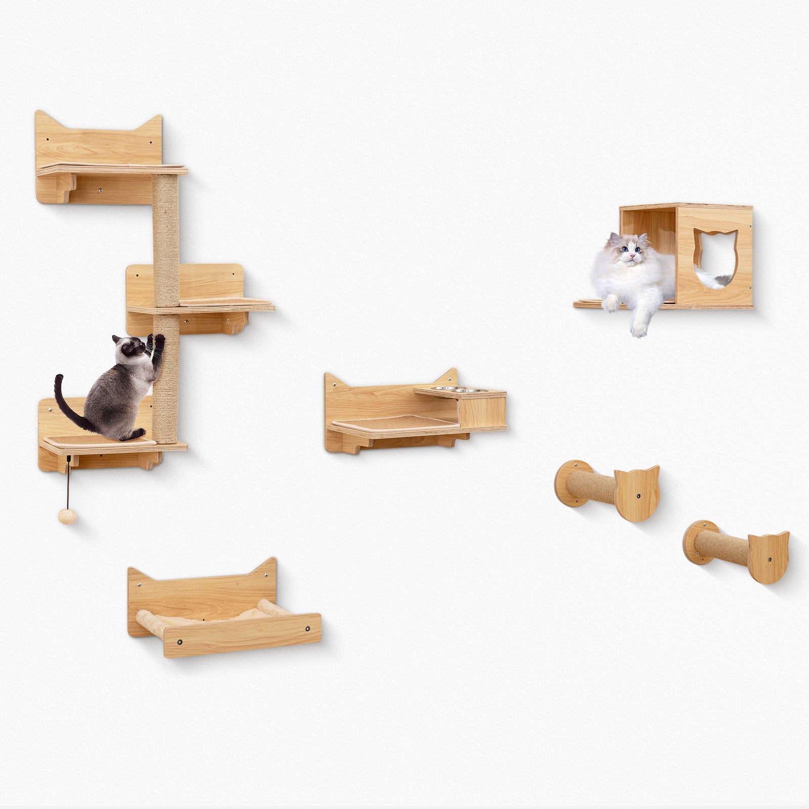 6-Piece Cat Wall Furniture Set, Shelves, Natural Cat Trees Condos & Scratchers Natural at Gallery Canada