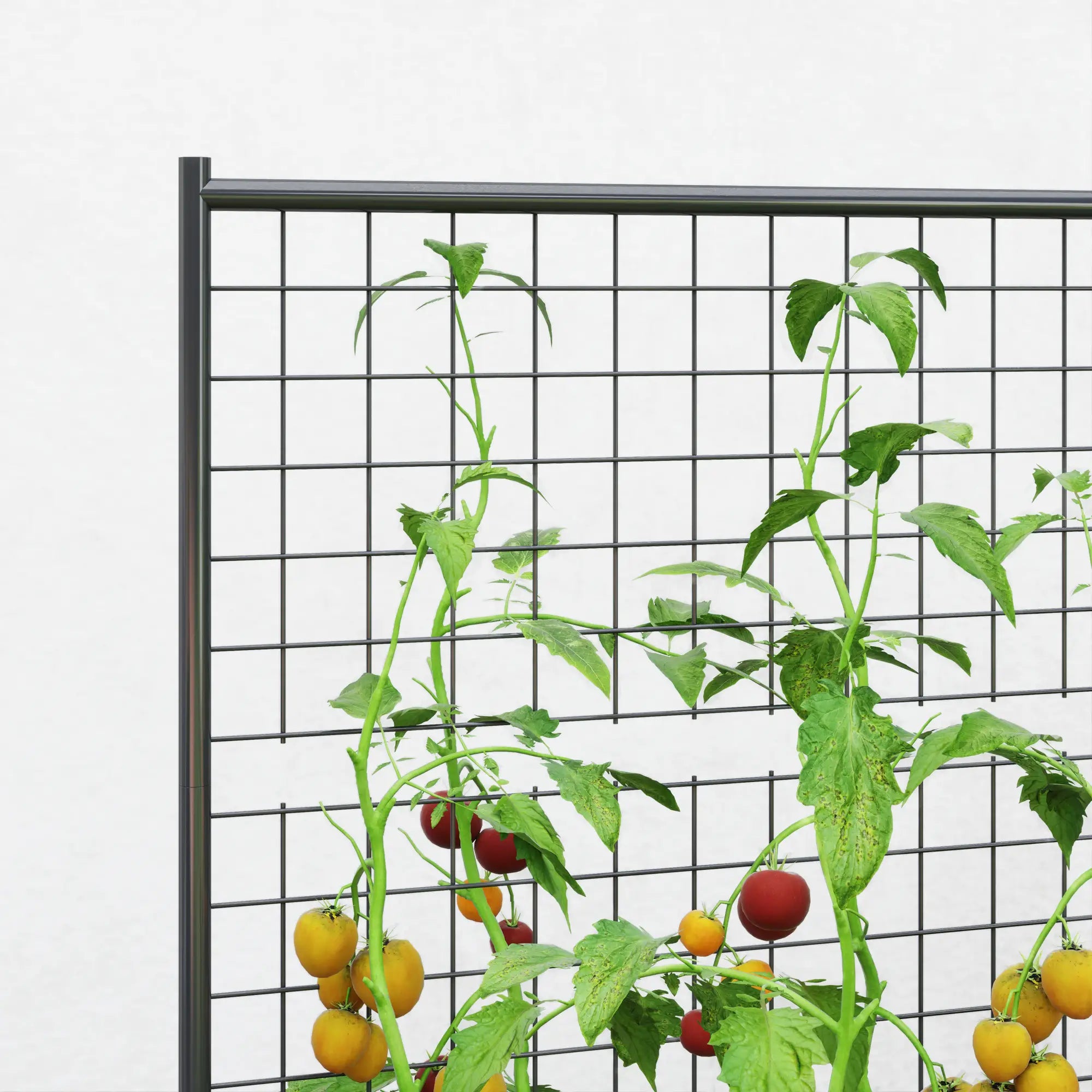 Galvanized Raised Garden Bed, Trellis for Climbing Plants, Dark Grey Raised Garden Beds at Gallery Canada