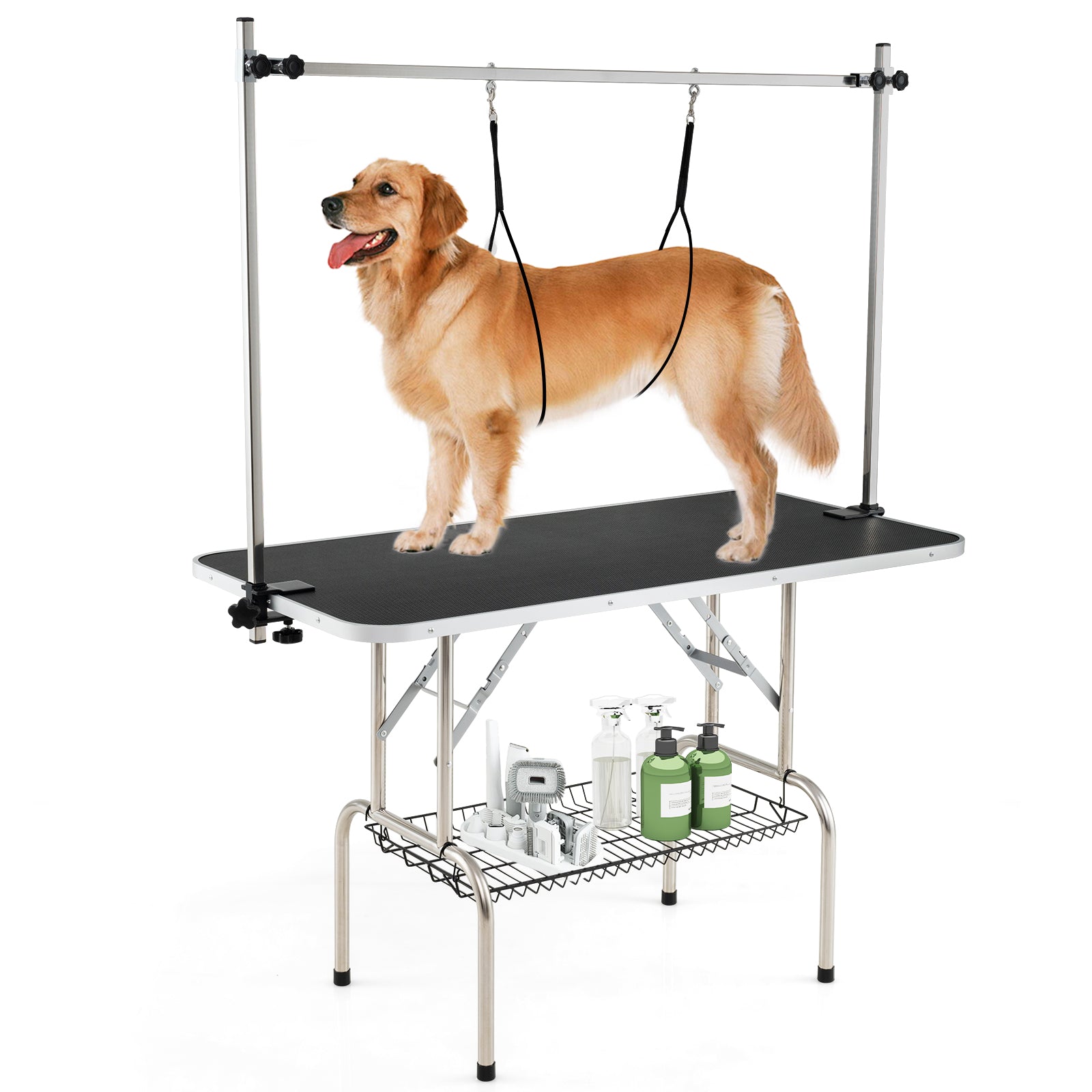 Foldable Dog Grooming Table, Height Adjustable Arms, Black Dog Supplies Black at Gallery Canada
