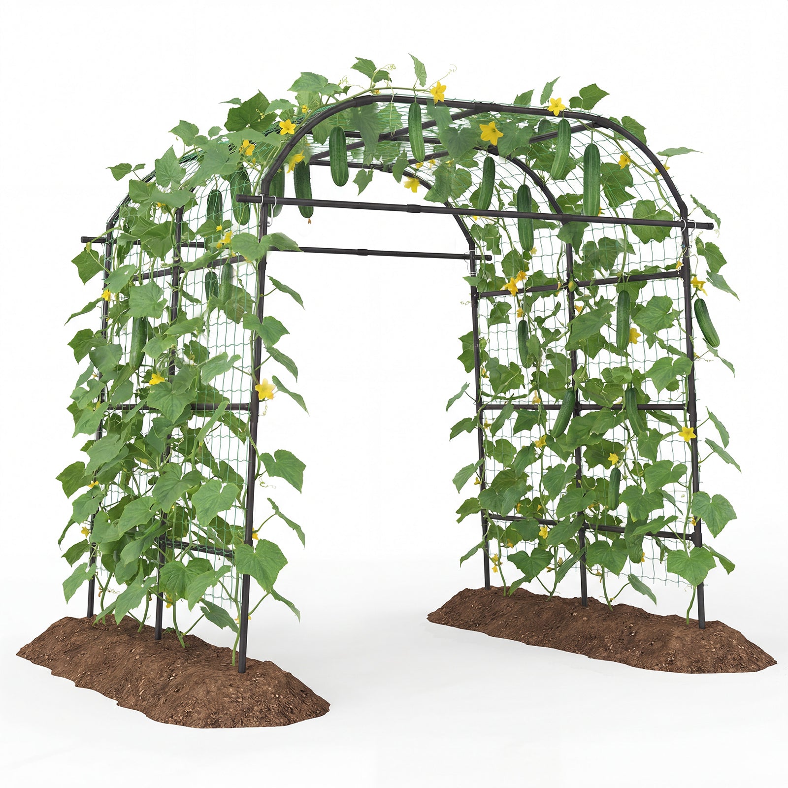 7.5 FT Metal Garden Arch Trellis For Climbing Plants, Black Plant Supports at Gallery Canada
