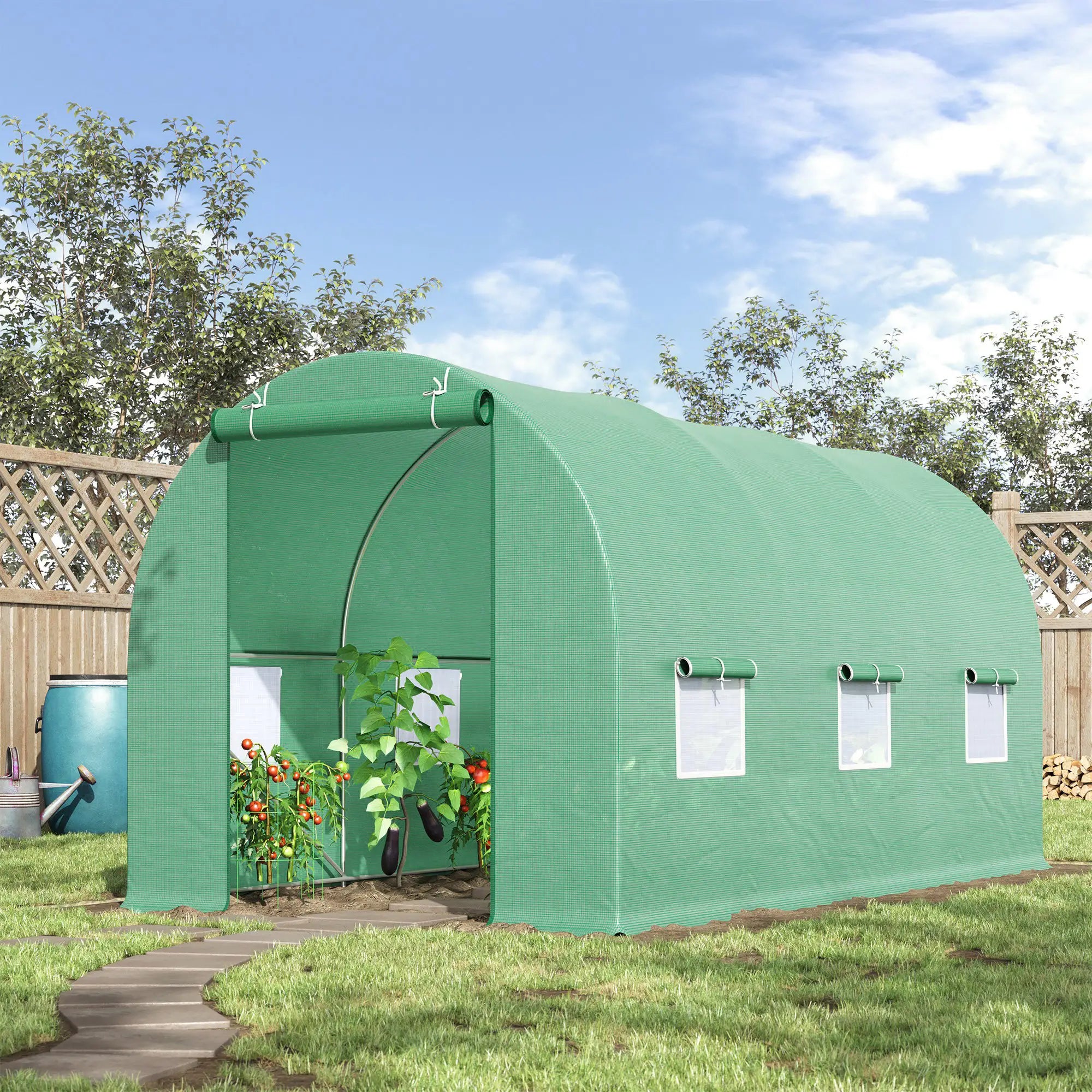 15' x 6.6' x 6.6' Walk-in Greenhouse, PE Cover, Roll Up Door, Windows Walk In Greenhouses at Gallery Canada