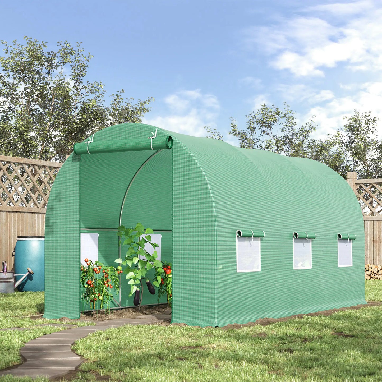 15' x 6.6' x 6.6' Walk-in Greenhouse, PE Cover, Roll Up Door, Windows Walk In Greenhouses at Gallery Canada