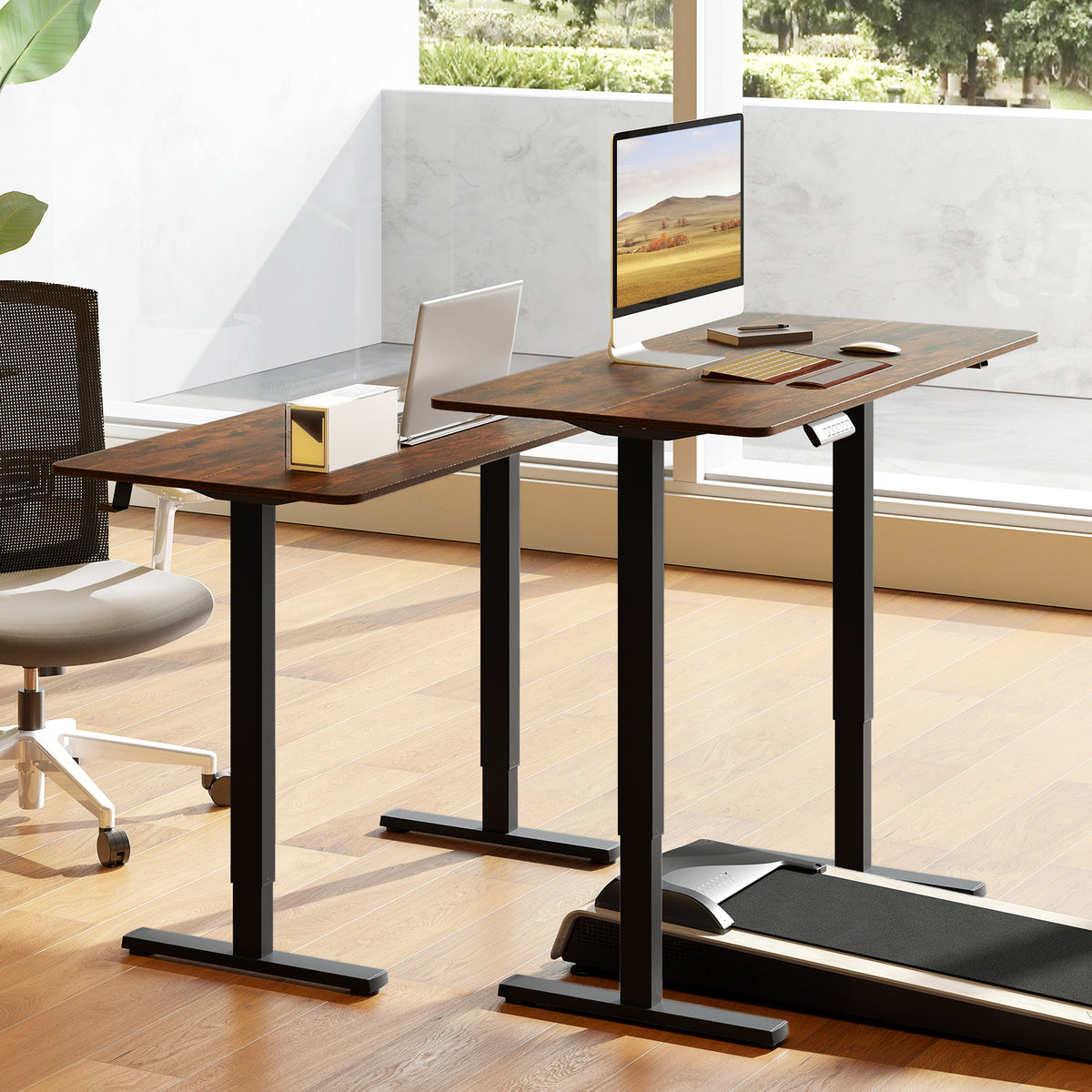 48 Inch x 24 Inch Electric Standing Desk, 3 Memory Settings, Rustic Brown Standing Desks at Gallery Canada