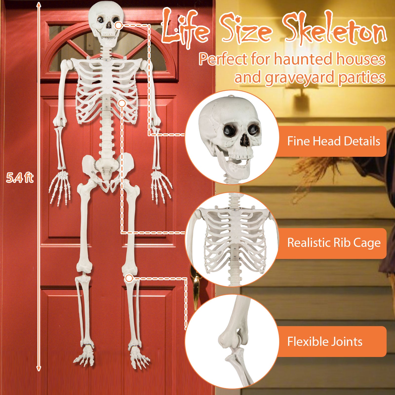 5.4 Ft Halloween Skeleton Decoration, White Halloween at Gallery Canada