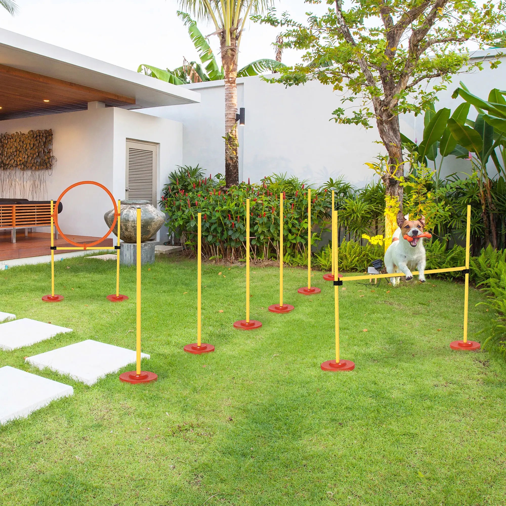 3PCs Pet Agility Training Set, Adjustable Weave Pole, Jumping Ring, High Jump Dog Agility Training Equipment at Gallery Canada