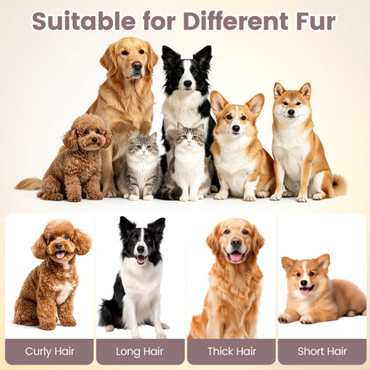 Kit de toilette pour chien à aspiration 9-en-1, 3 modes d'aspiration